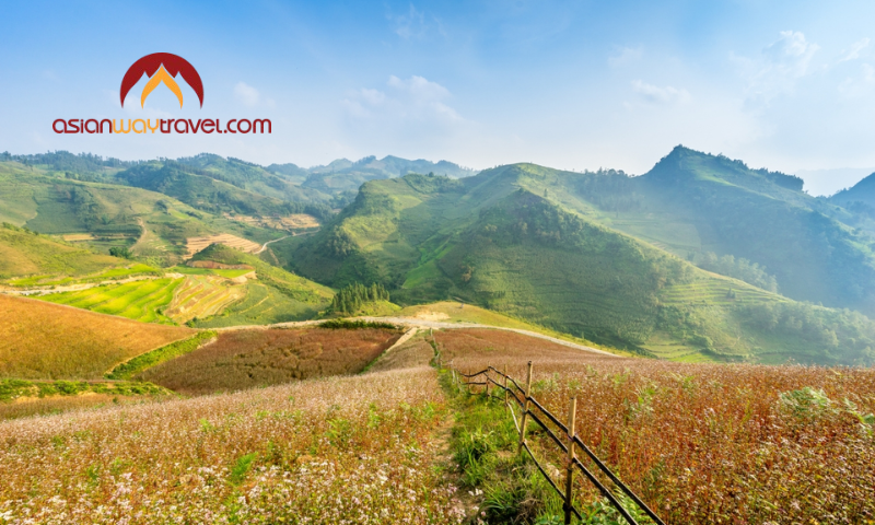 Green hills in Vietnam’s dry season