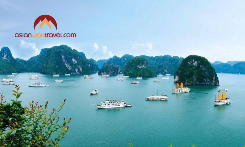 Cruise boats glide across the emerald waters of Ha Long Bay