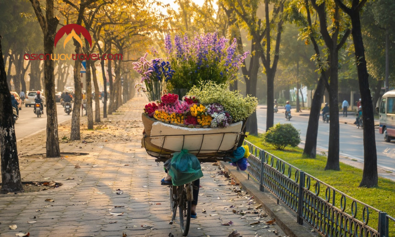 Autumn in Hanoi
