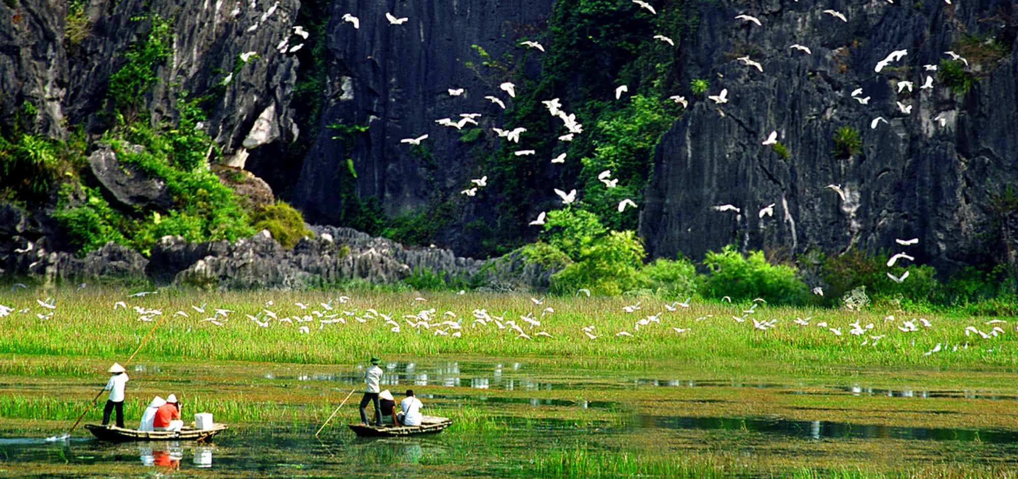 Ninh Binh Vietnam- Thung Nham Bird Garden