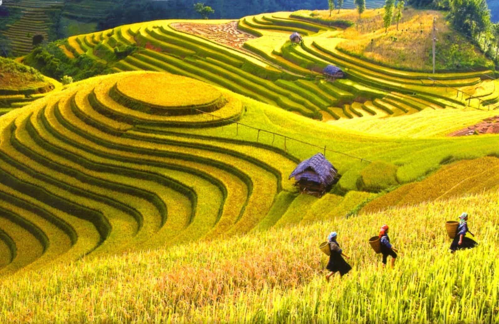 Top 10 Experiences You Can't Miss in Sapa