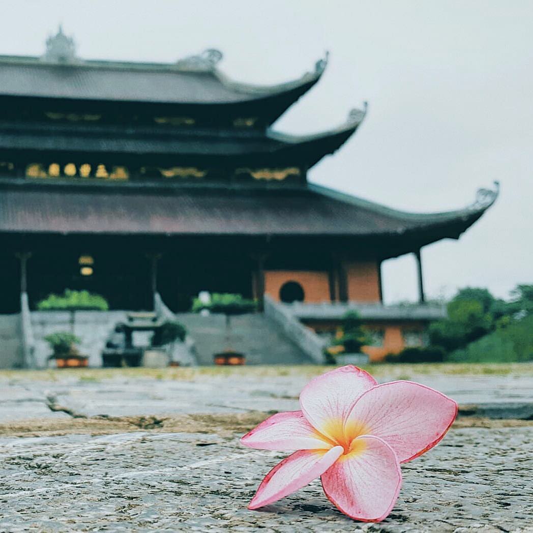 bai dinh pagoda ninh binh vietnam