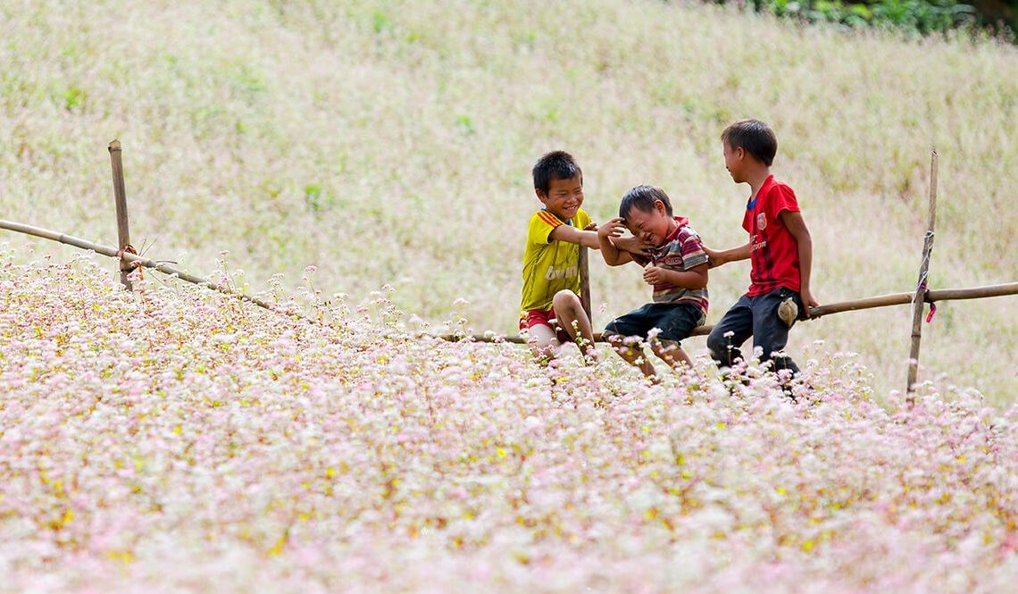 ha giang flower season 5 days