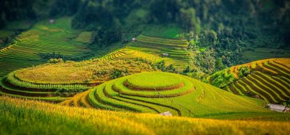 Everything You Need to Know before Trip to Mu Cang Chai Vietnam ...