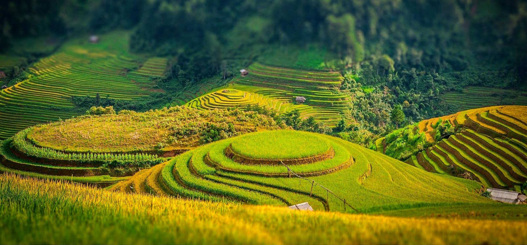 northern vietnam 4 days mu cang chai