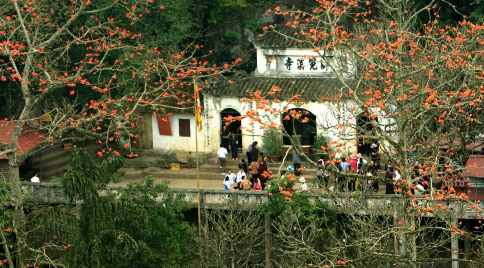 perfume pagoda hanoi tours