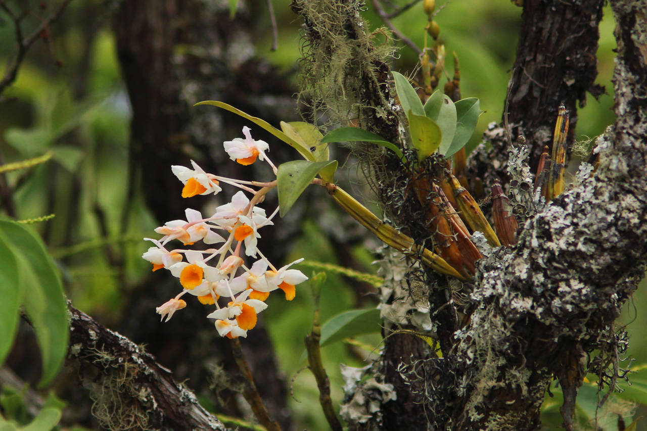 Phu Quoc National Park | Phu Quoc Attractions - Asianway Travel