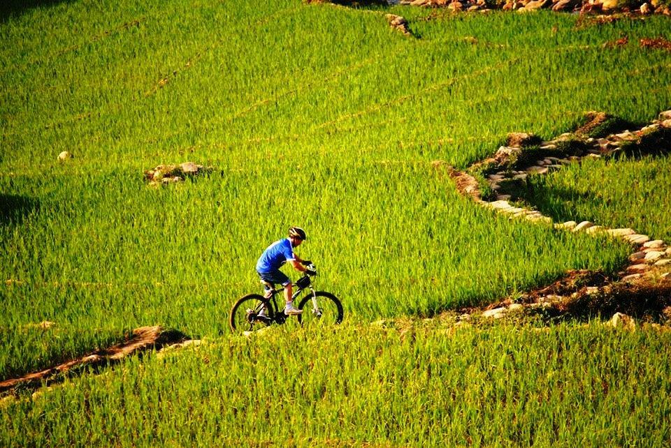 Image result for biking muong hoa valley