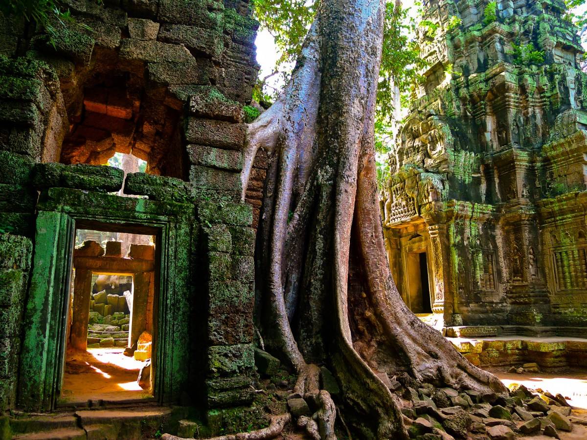 Ta Prohm – Siem Reap, Cambodia - Atlas Obscura