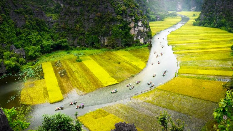 hoa lu tam coc ninh binh bich dong boat ride 2