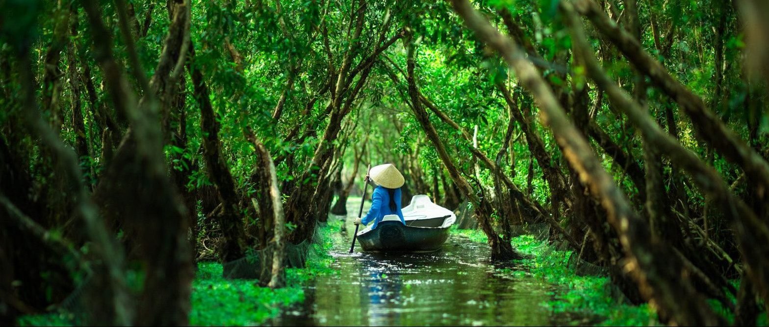 mekong delta tra su forest