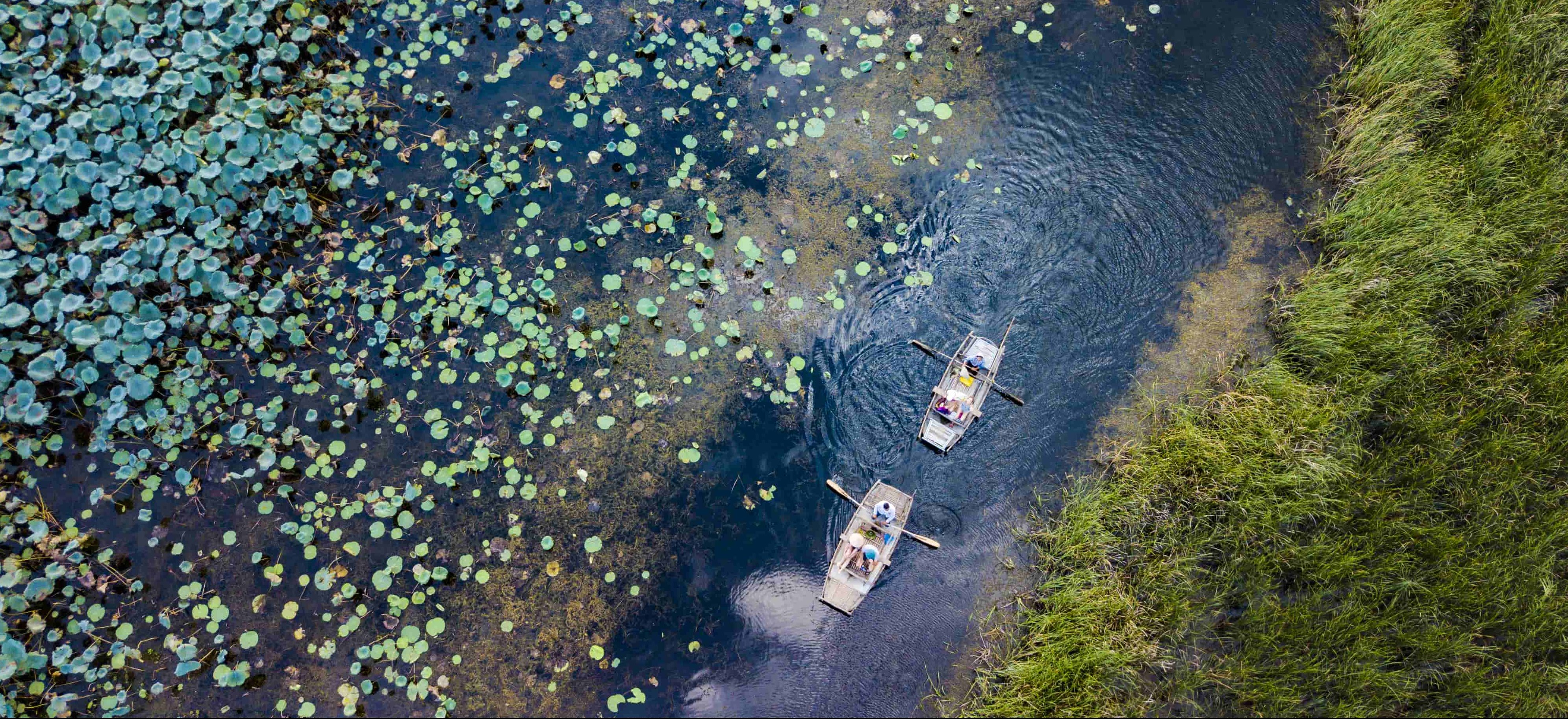 things to do in ninh binh vietnam - van long reserve