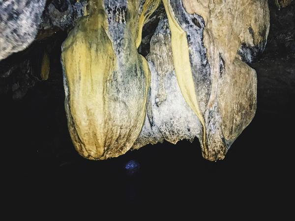 hoa lu tam coc ninh binh boat ride