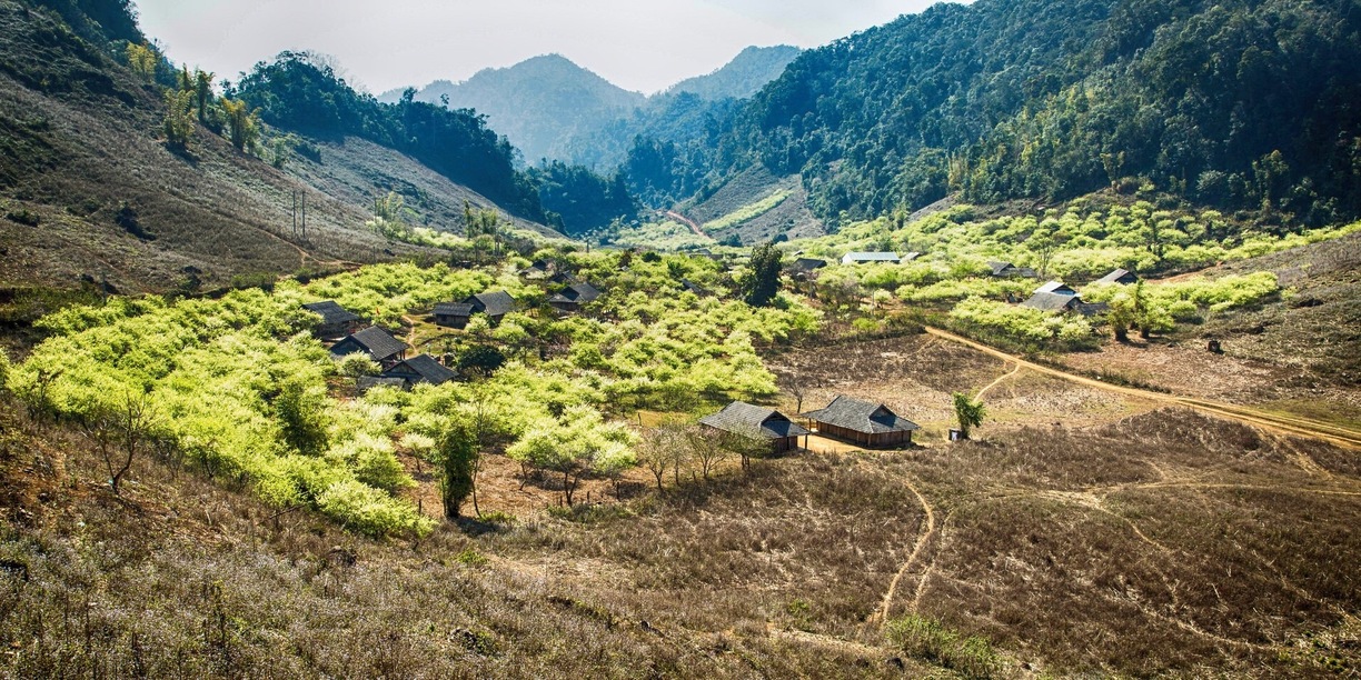 Moc Chau Vietnam: Things to do, Attractions (2020) - Asianwaytravel.com