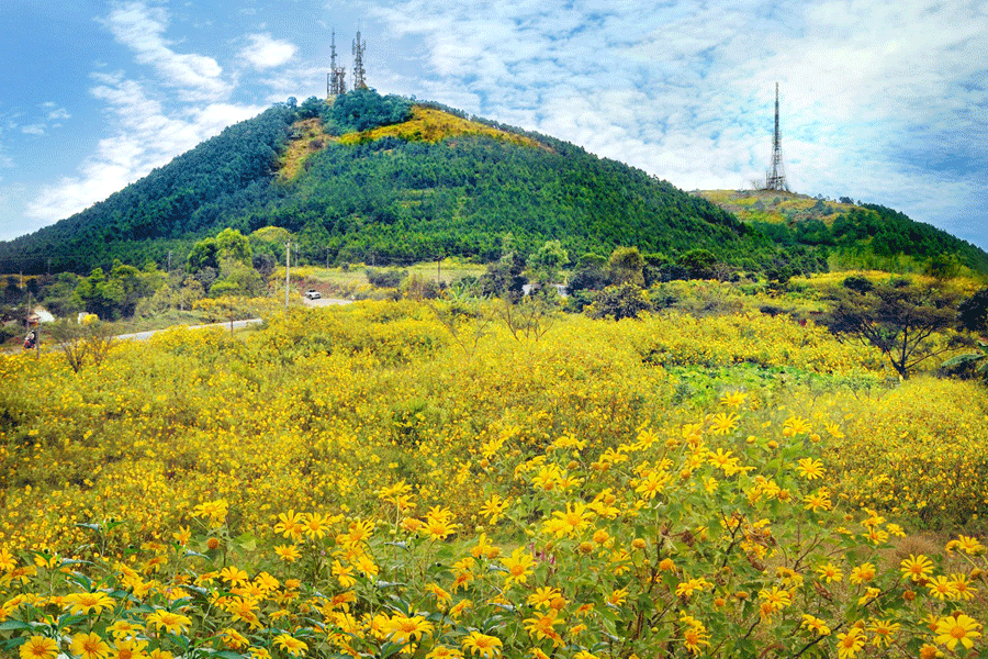 pleiku gia lai vietnam