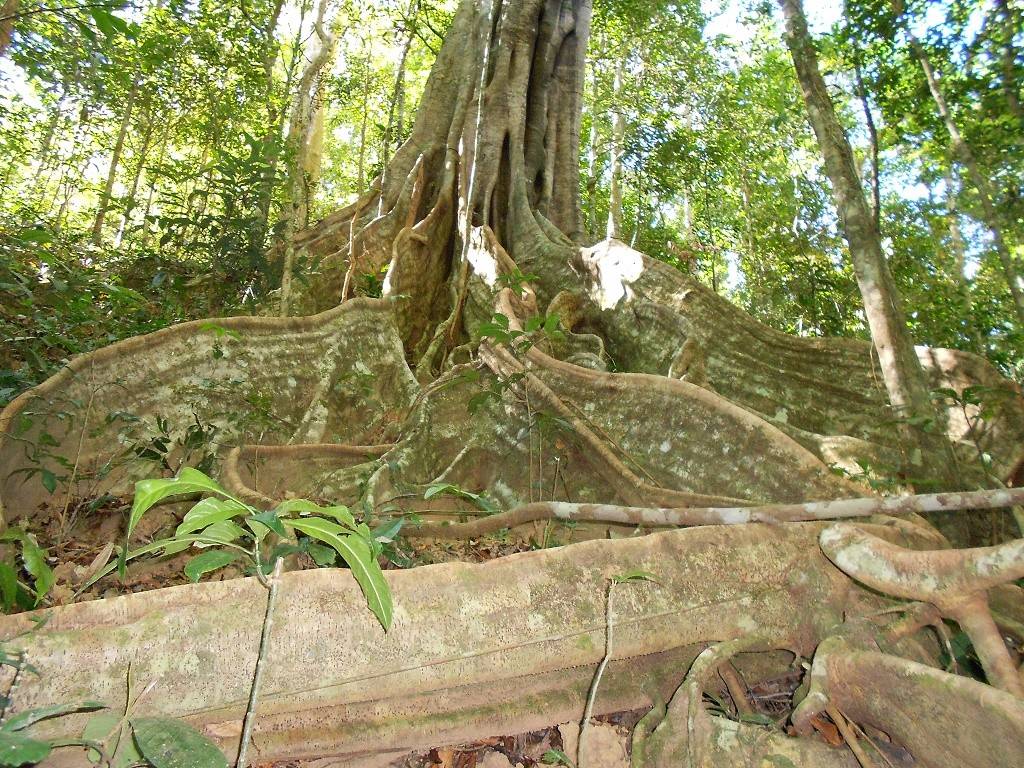 pleiku gia lai vietnam