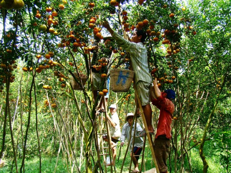 where to visit mekong delta