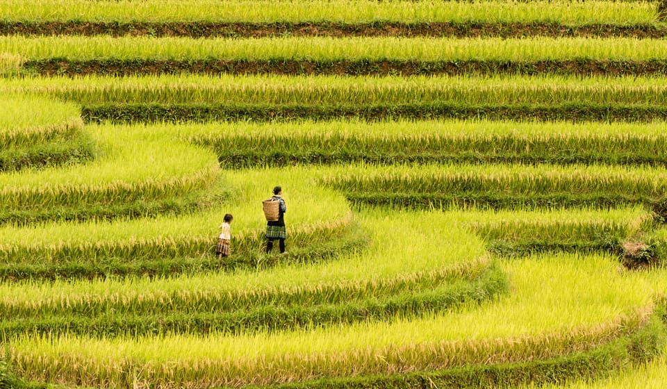 mu cang chai vietnam