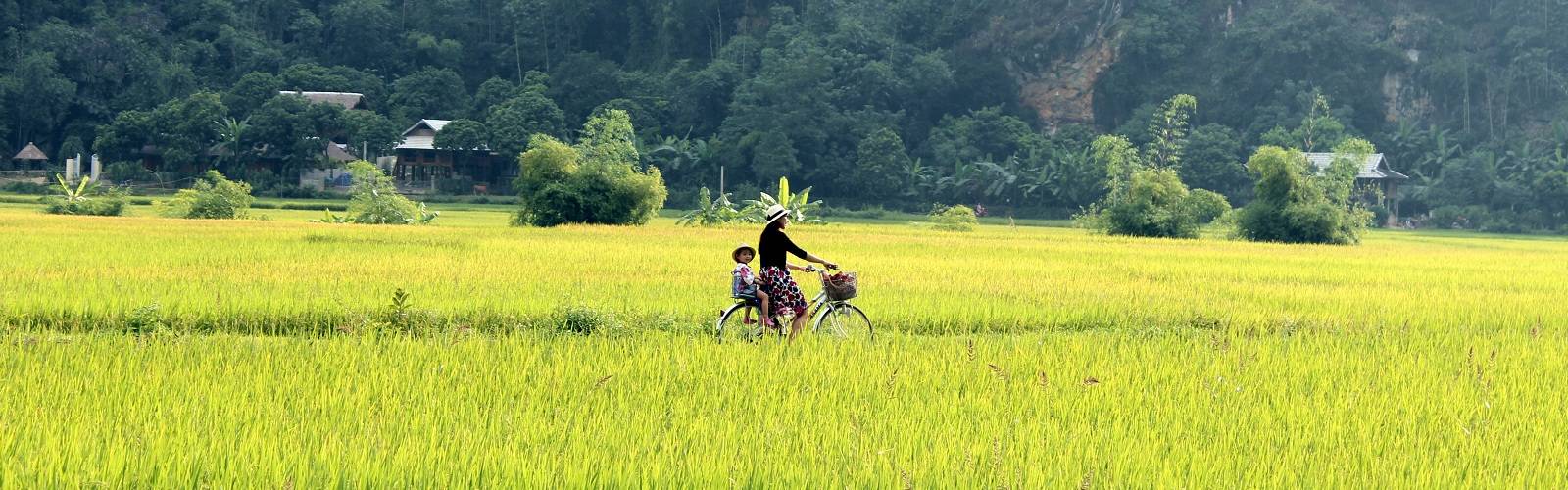 vietnam with kids