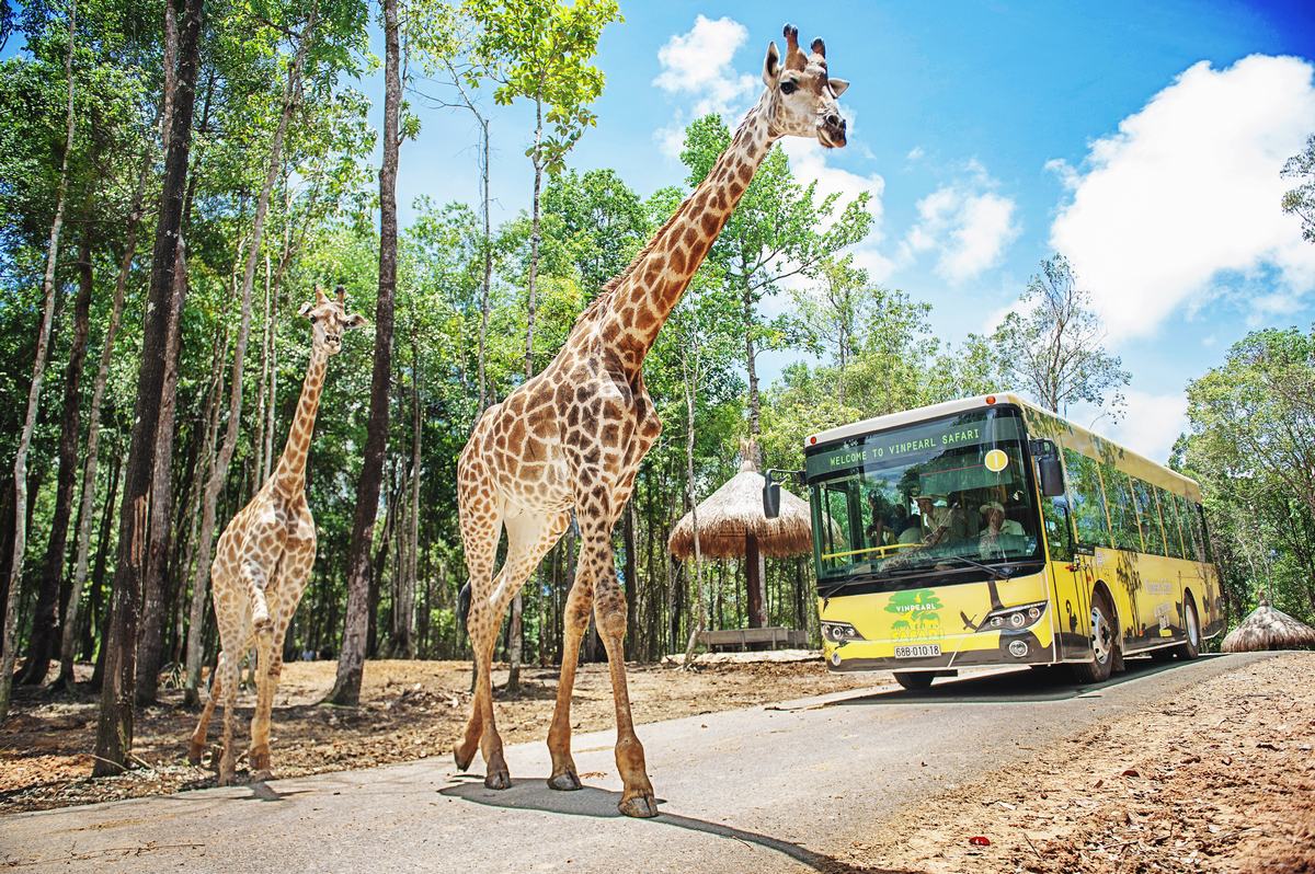 phu quoc safari - Phu Quoc Highlights & Travel Guide 2022