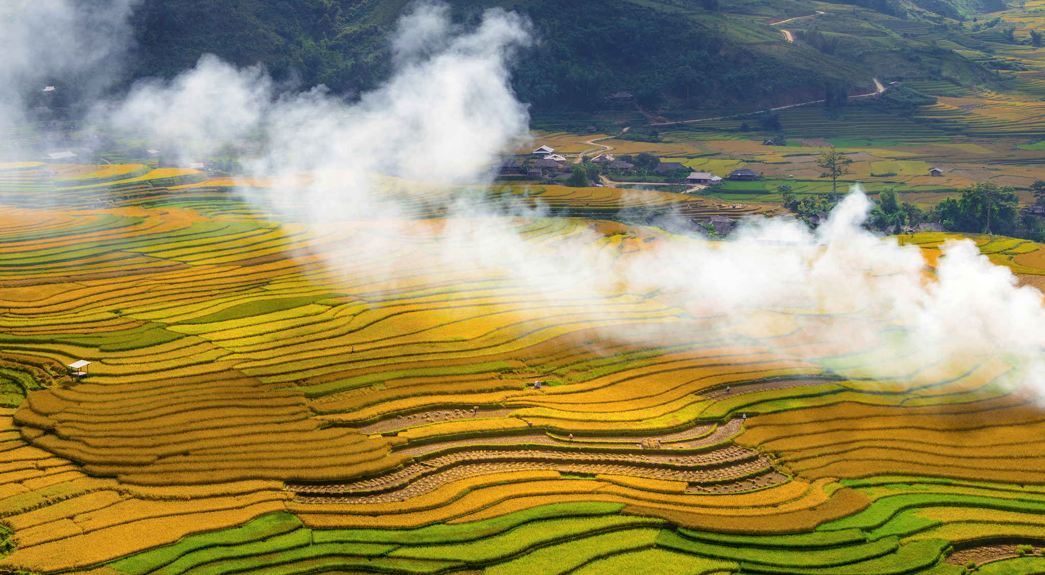 mu cang chai vietnam