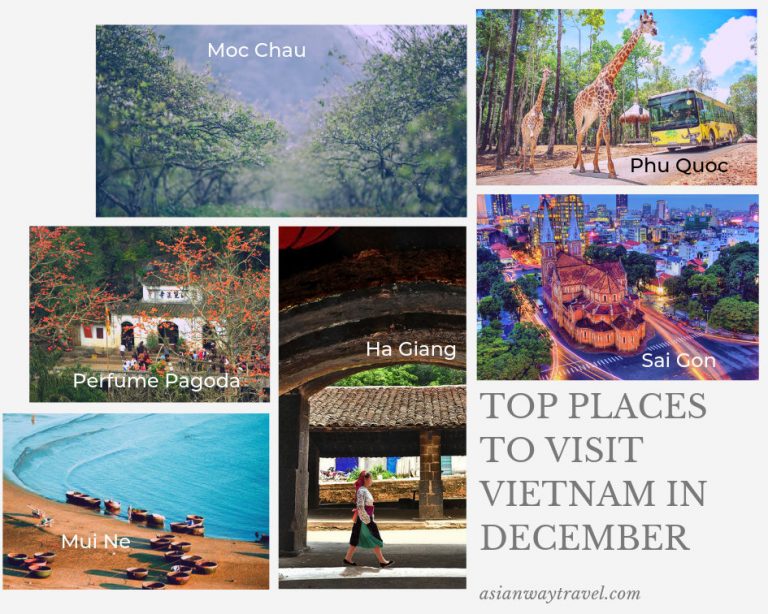 best time to visit vietnam 2022
