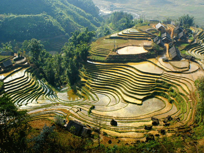 Ta Van Village - Sapa in the falling water season