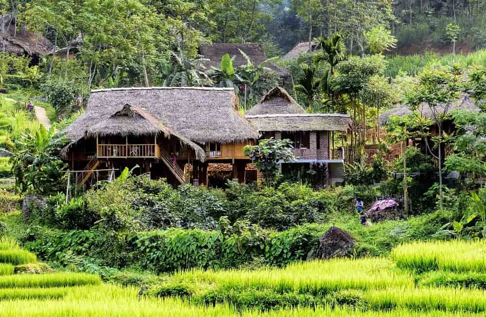 Pu luong stilt house