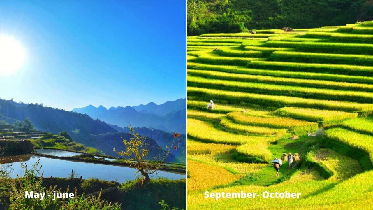 different seasons in Pu Luong