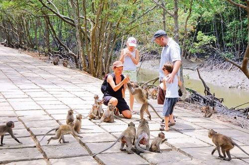 Monkey Island - Things to do in Ho Chi Minh Itinerary 5 Days